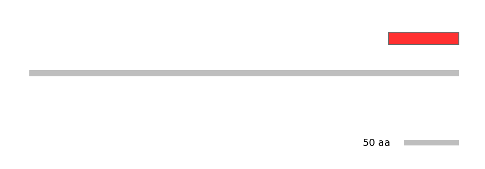 HsaINT1007996-INC