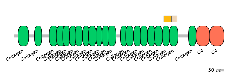 HsaINT1008158-EXC