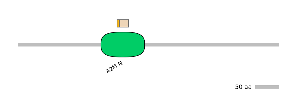 HsaINT1008287-EXC