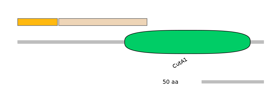 HsaINT1010358-EXC