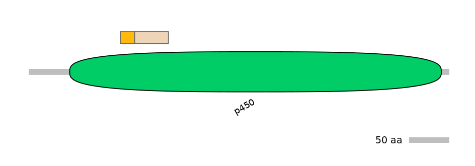 HsaINT1010522-EXC