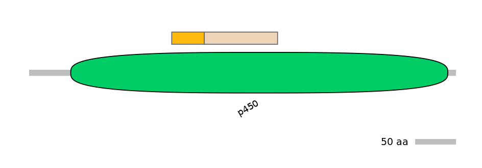 HsaINT1010523-EXC