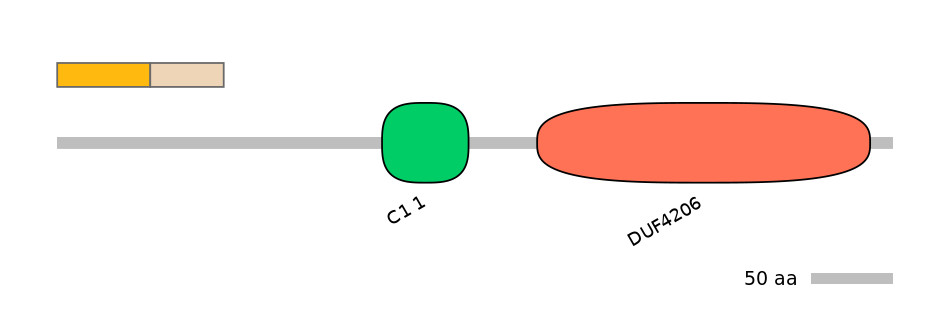 HsaINT1010874-EXC