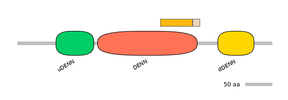 HsaINT1010903-EXC