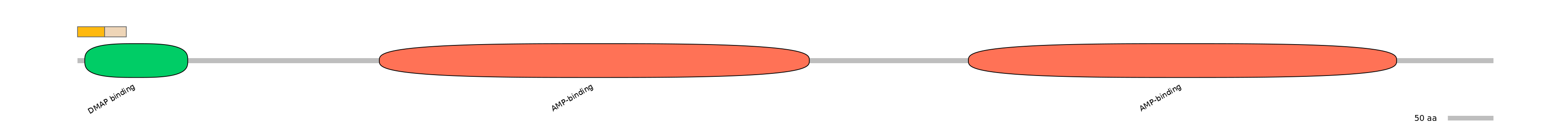 HsaINT1011082-EXC