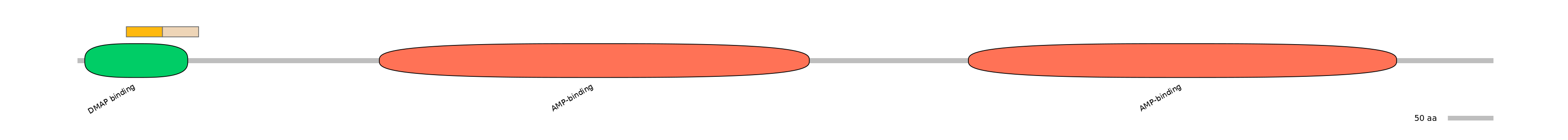 HsaINT1011087-EXC