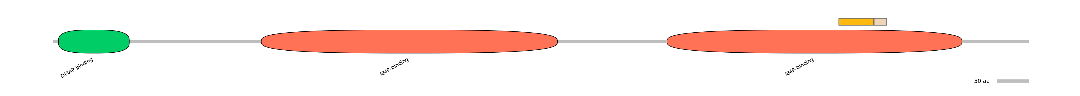 HsaINT1011090-EXC