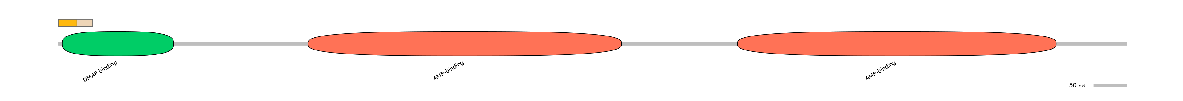 HsaINT1011100-EXC
