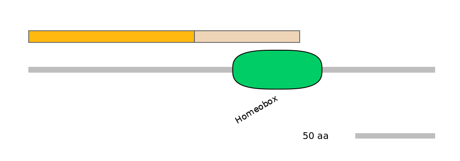 HsaINT1011203-EXC