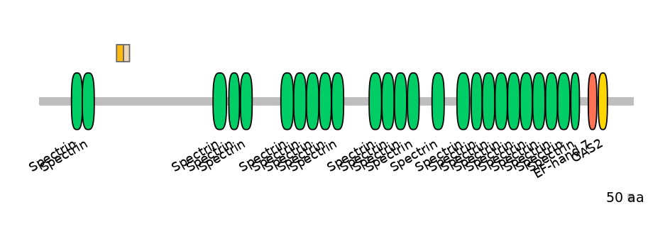 HsaINT1011952-EXC