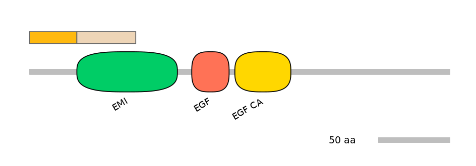 HsaINT1012246-EXC