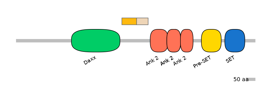 HsaINT1012302-EXC