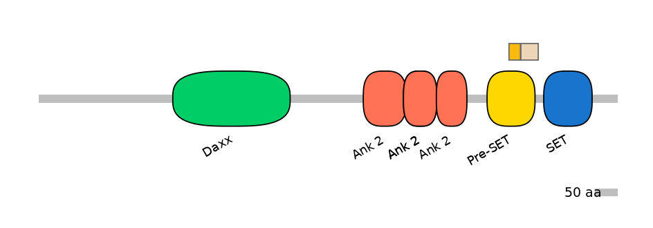 HsaINT1012313-EXC