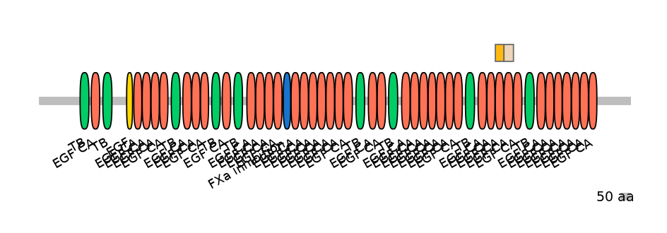 HsaINT1013396-EXC