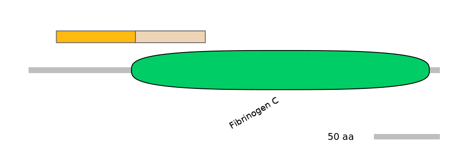 HsaINT1013636-EXC