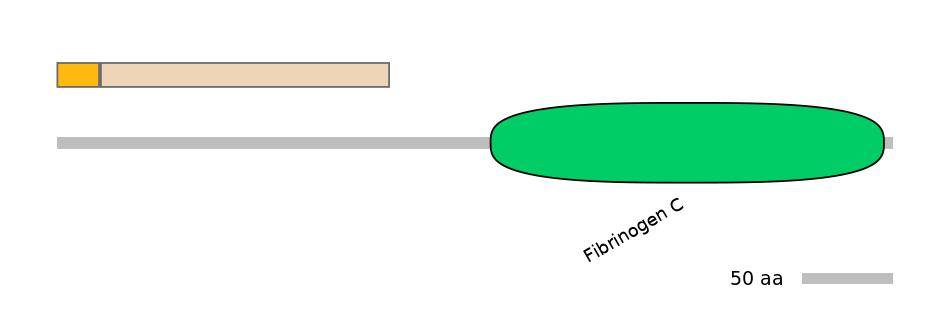 HsaINT1013650-EXC