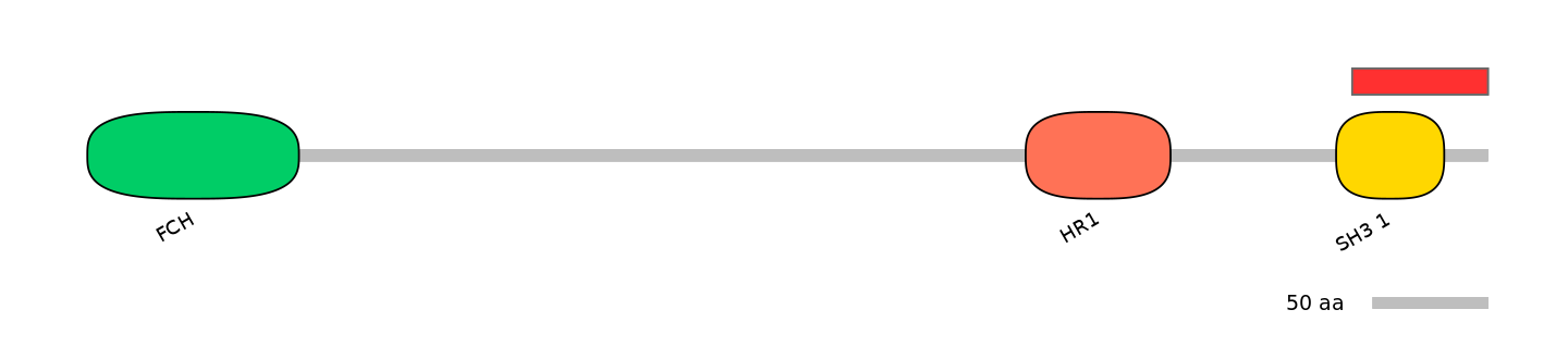 HsaINT1013786-INC