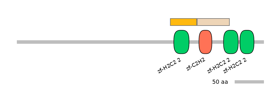 HsaINT1014316-EXC