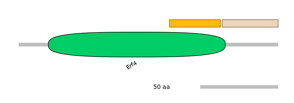 HsaINT1014649-EXC