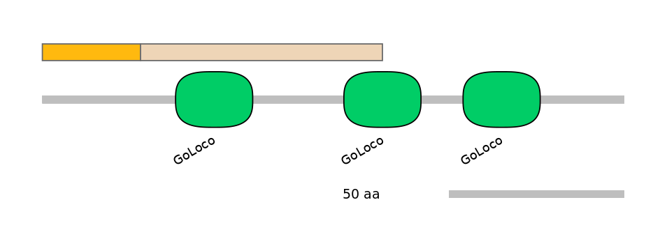 HsaINT1014793-EXC