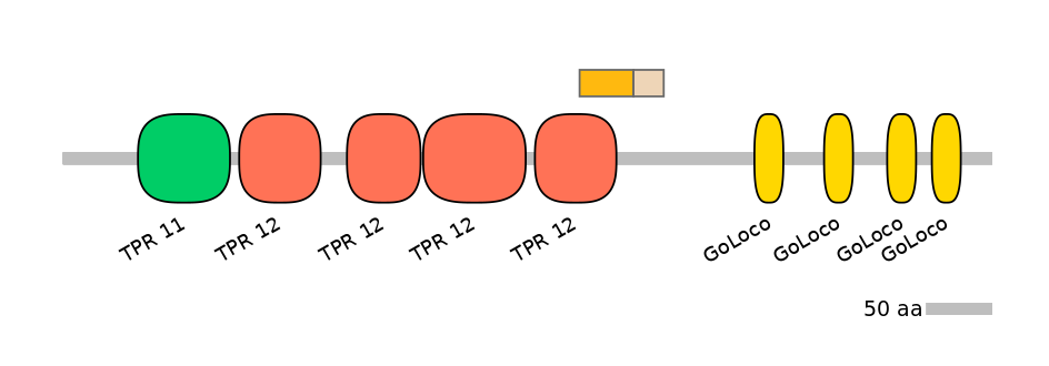 HsaINT1014796-EXC