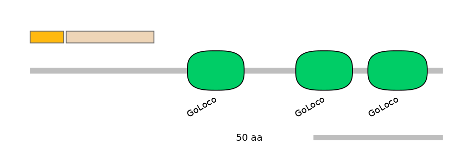HsaINT1014799-EXC