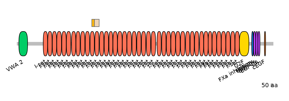 HsaINT1015637-EXC