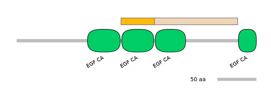 HsaINT1015707-EXC