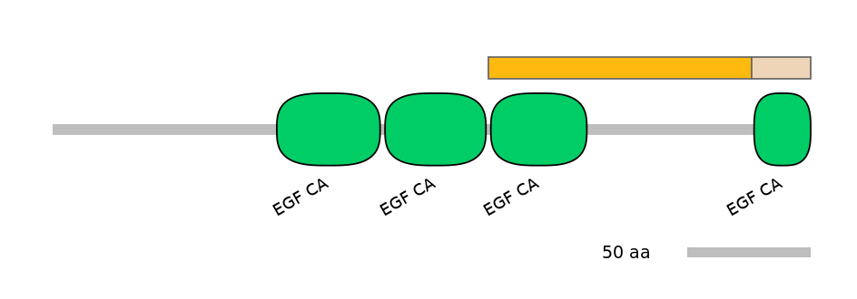 HsaINT1015708-EXC