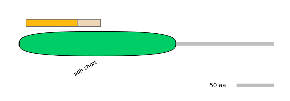 HsaINT1015926-EXC
