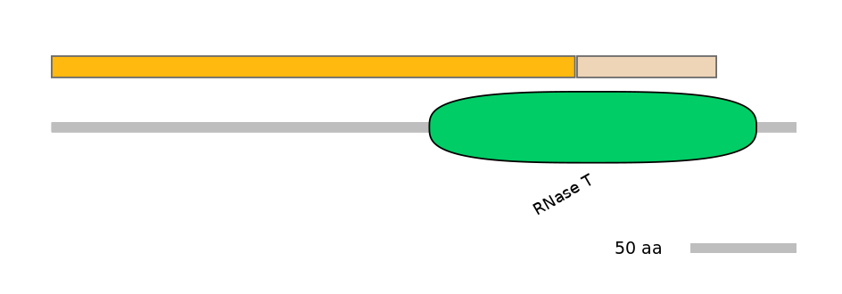 HsaINT1016783-EXC