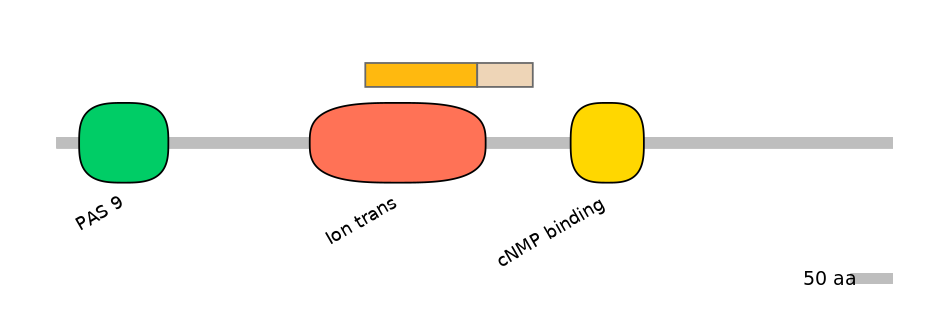 HsaINT1017150-EXC