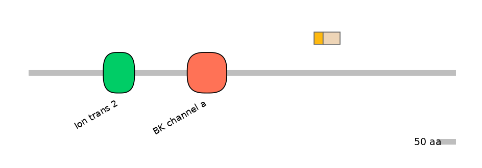 HsaINT1017226-EXC