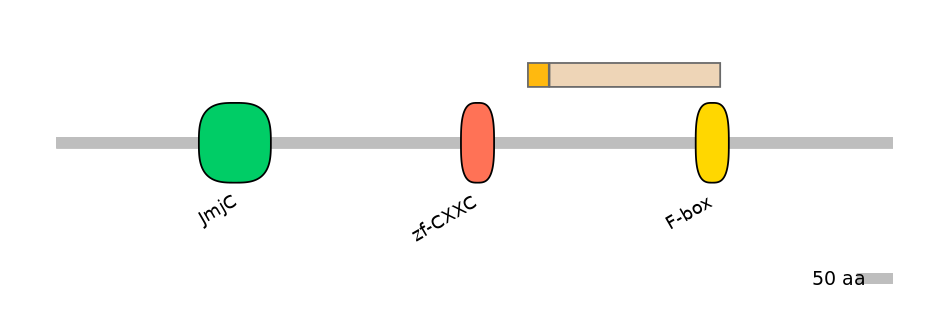 HsaINT1017276-EXC