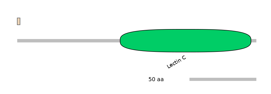 HsaINT1017580-INC