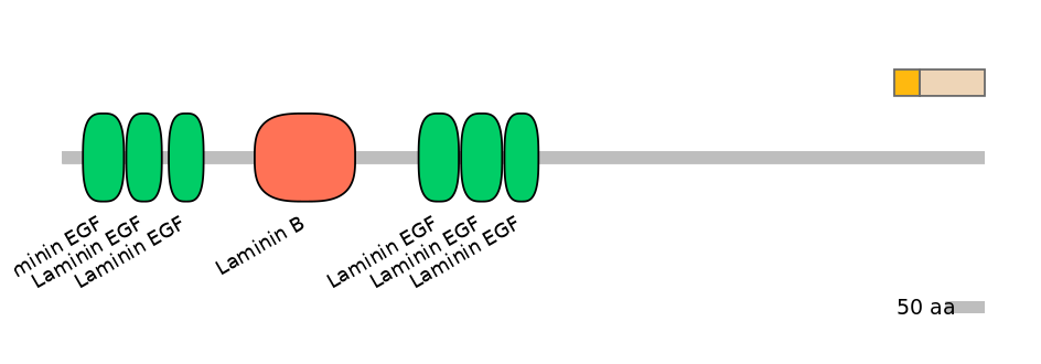 HsaINT1018014-EXC