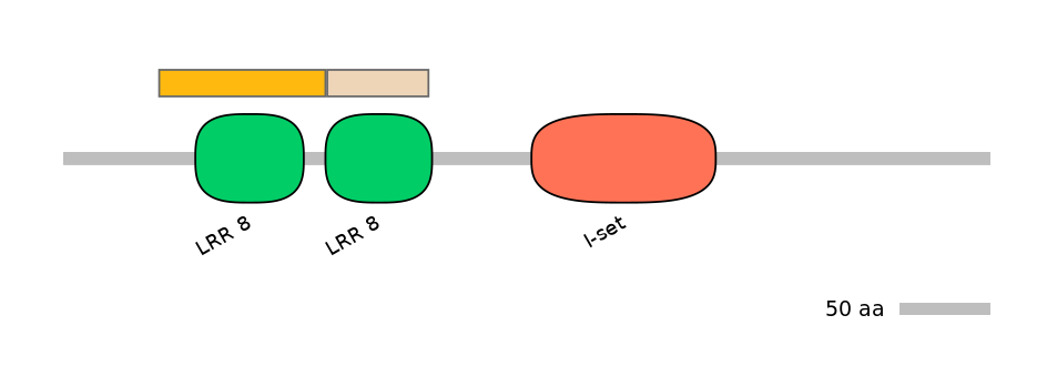 HsaINT1022053-EXC
