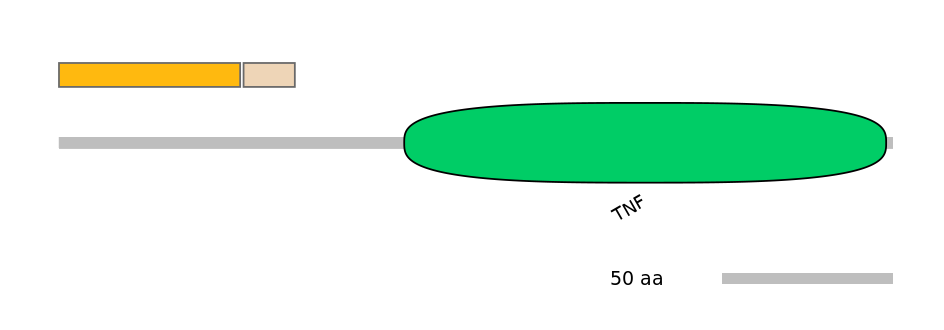 HsaINT1022232-EXC