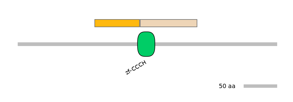 HsaINT1022623-EXC