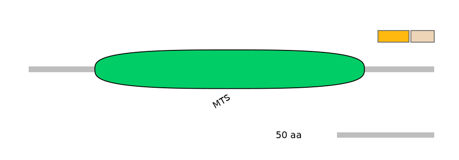 HsaINT1022853-EXC