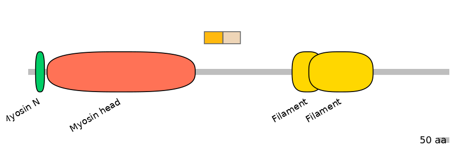 HsaINT1024110-EXC