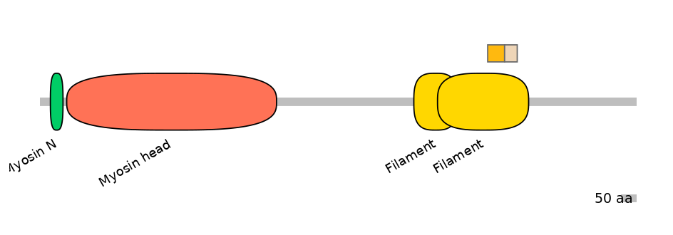 HsaINT1024119-EXC