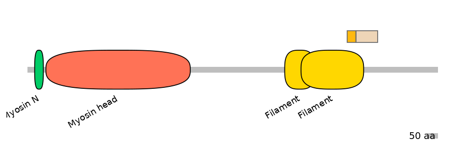 HsaINT1024120-EXC
