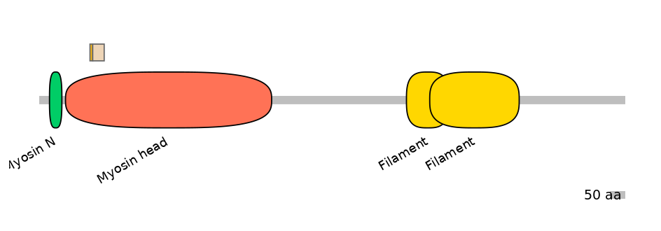 HsaINT1024128-EXC