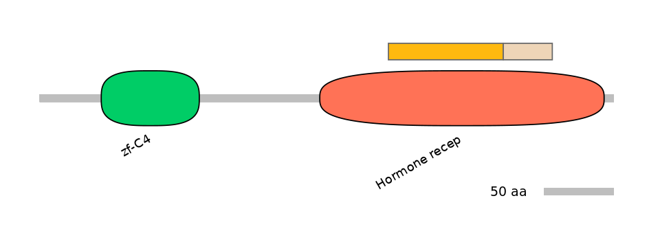 HsaINT1025286-EXC