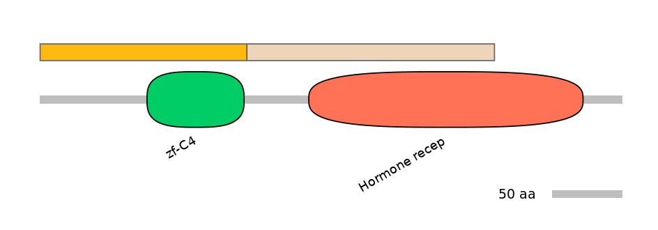 HsaINT1025290-EXC