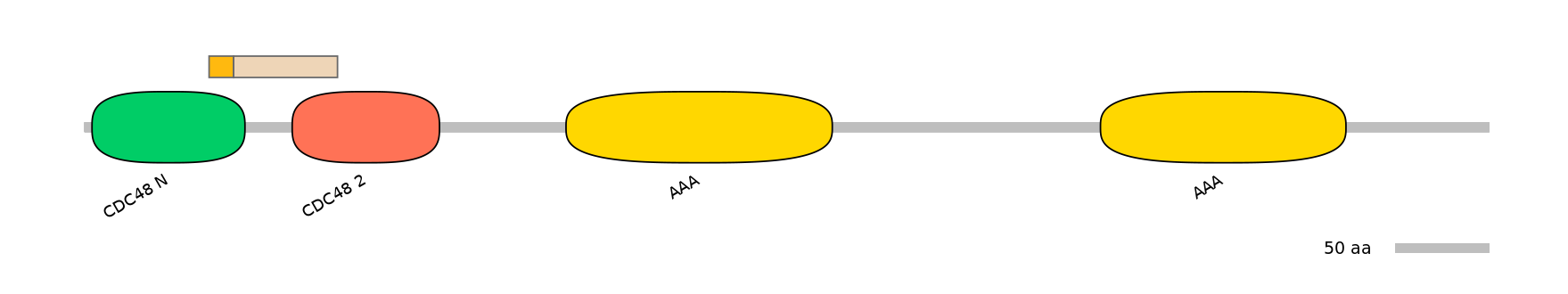 HsaINT1025377-EXC