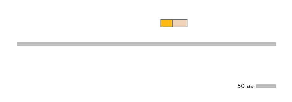 HsaINT1025578-EXC