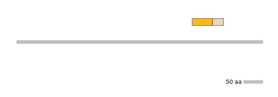 HsaINT1025579-EXC