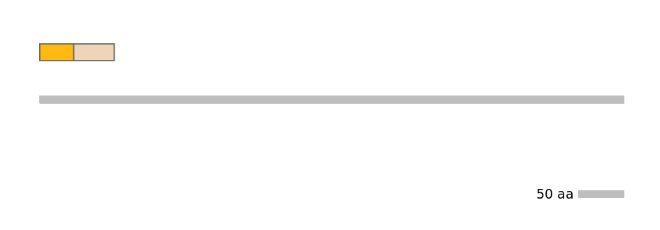 HsaINT1025580-EXC